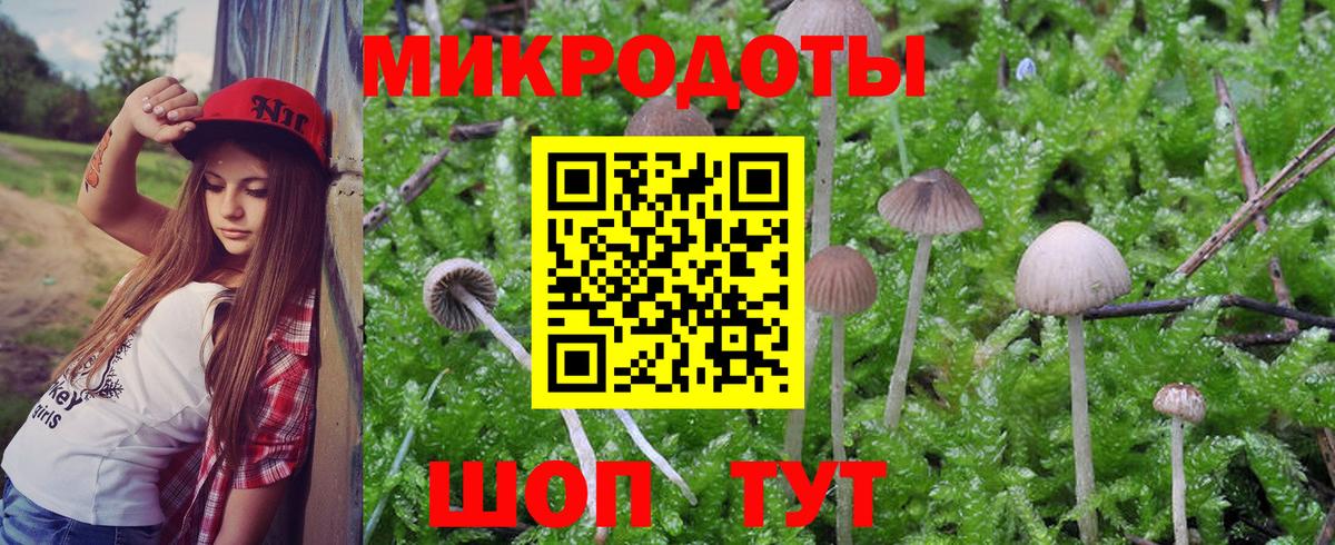 Псилоцибиновые грибы MAGIC MUSHROOMS Северск