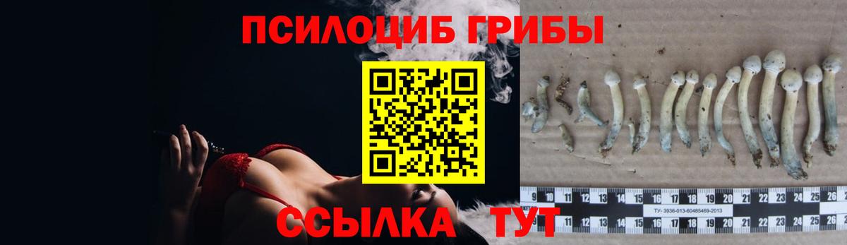 Северск  Псилоцибиновые грибы MAGIC MUSHROOMS  Галлюциногенные грибы MAGIC MUSHROOMS  Вход с VPN 